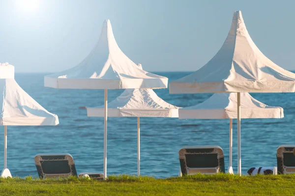 土耳其海滩 前景一片绿草 背景为白色遮阳伞和蓝色海 — 图库照片