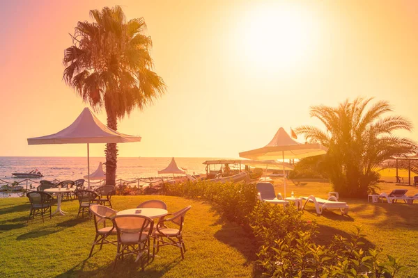 Playa Turquía Con Césped Verde Primer Plano Sombrillas Sombra Blanca — Foto de Stock