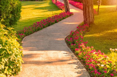 Emplty eğri asfalt park sokak gündoğumu veya günbatımı. Çiçekler ve ağaçlar yol tarafında.