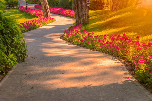 Emplty eğri asfalt park sokak gündoğumu veya günbatımı. Çiçekler ve ağaçlar yol tarafında.