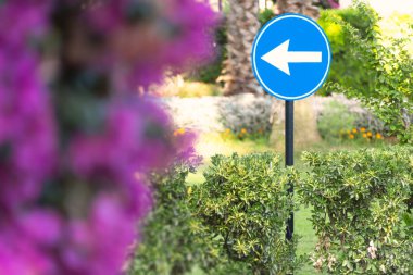 Mavi yol işareti ile arka plan ağaç beyaz ok