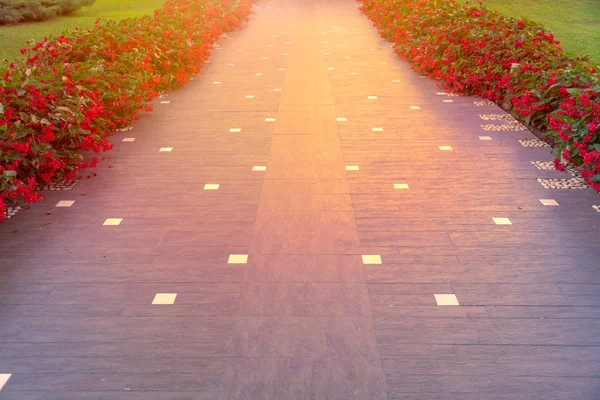 Тропинка Красными Цветами Сторонам Дороги — стоковое фото