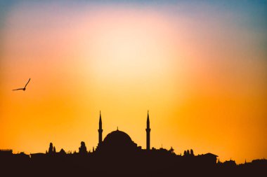 Istanbul, Türkiye'de Osmanlı imparatorluk Camii siluet gün batımında. Şehir manzarası ile arka planda gökyüzü.
