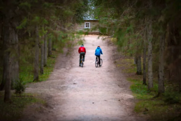 Beautiful sand forest path with two cyclists — Stock Photo, Image