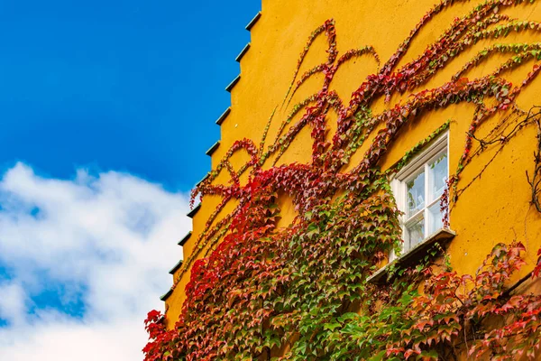 Fuggerei是世界上仍在使用的最古老的社会住房建筑群 它是德国巴伐利亚奥格斯堡市的一个城墙飞地 — 图库照片