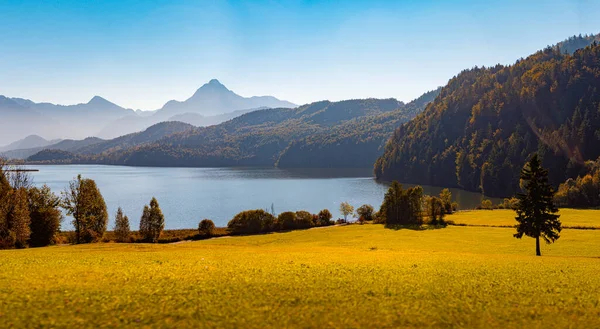 Montanhas Lago Baviera Alemanha Europa Cena Nascer Sol Com Prado — Fotografia de Stock