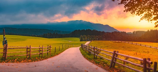 Almanya Nın Bavyera Eyaletinde Kırsal Yol Manzarası Önplanda Yeşil Çayır — Stok fotoğraf
