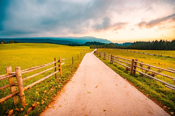 Landsväg Bayern Tyskland Grön Äng Och Gångväg Förgrunden Med Dramatisk — Stockfoto