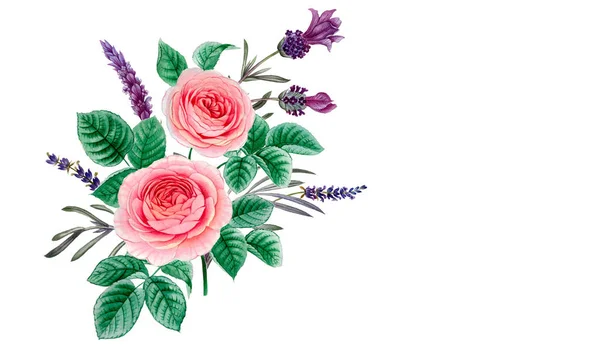 pembe ve mor çiçekler. sulu boya çiçekler. Şakayık şube. Gül dalı. izole bırakır.