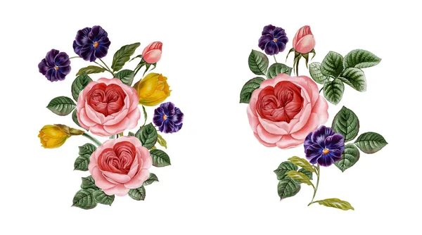 pembe ve mor çiçekler. sulu boya çiçekler. Şakayık şube. Gül dalı. izole bırakır.