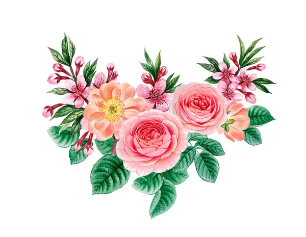 Sulu boya pembe Peonies illüstrasyon, gerçekçi çizilmiş gül el.