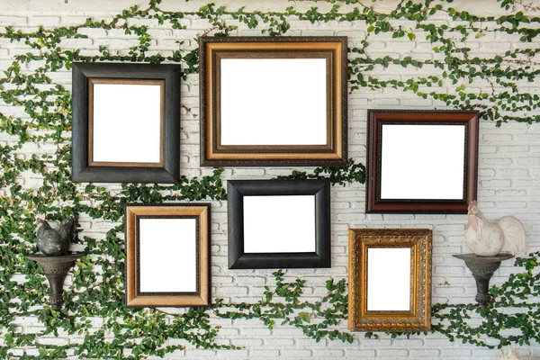 Empty picture frames on the wall with ivy wall crawler