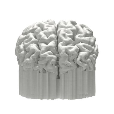Beyaz arkaplanda izole edilmiş 3D yazdırılmış beyin