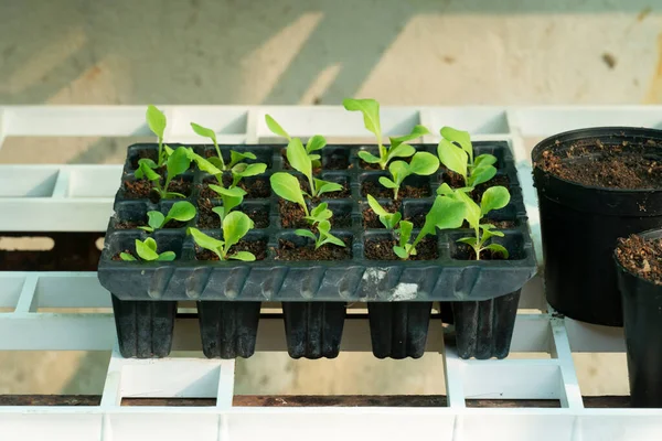 Kumaş rengini kontrol etmek için renk kartları