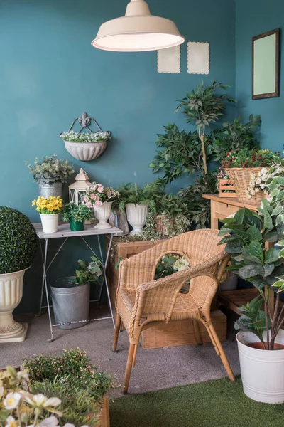 Ratten chair in the corner of the room with a lot of flowers vases. Indoor garden concept