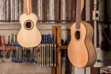Ukulele üretim sürecinde dükkanda asılı duruyor