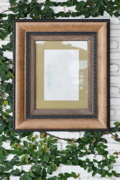 Empty picture frame with glass on the wall with ivy wall crawler