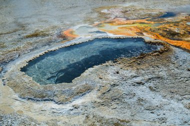 Yellowstone Ulusal Parkı 'nda Kulak Baharı, ABD