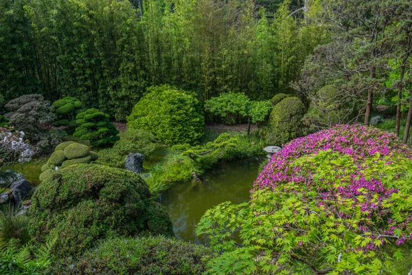 Giardino Giapponese San Francisco Attrazione Turistica — Foto Stock