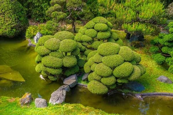 Jardín Japonés San Francisco Atracción Turística —  Fotos de Stock