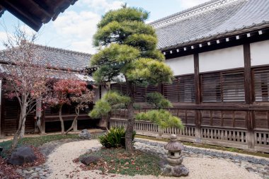 Japon stil bahçesindeki ağaç. Taşlı ve ev yapımı.