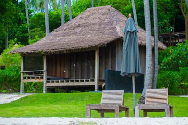 Arkaplanda çim tarlası ve hindistan cevizi ağaçları olan plaj yazlığının önündeki tahta koltuklar.