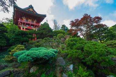 San Francisco 'daki Japon bahçesi.