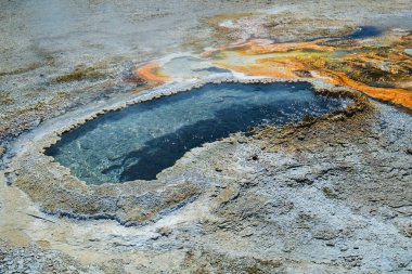 Yellowstone Ulusal Parkı 'nda Kulak Baharı, ABD