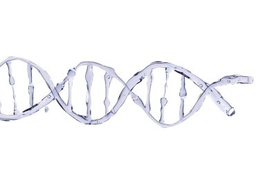DNA, beyaz arka planda izole edilmiş su şeklindedir. Fotoğraf yönlendirmesi