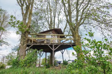 Köyün yanındaki bahçede ağaç ev.