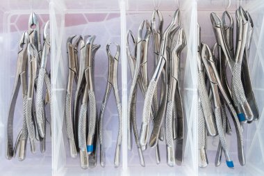 Plastik kutuda bir sürü diş macunu var.