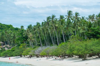Koh Tao 'nun egzotik kıyıları. Temiz beyaz kumların üzerinde egzotik hindistan cevizi ağaçları.