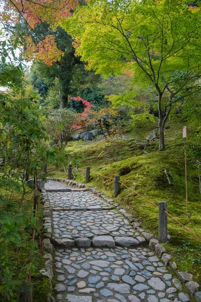 Pasarela Jardín Japonés Para Turista Para Hacer Turismo Pacíficamente —  Fotos de Stock