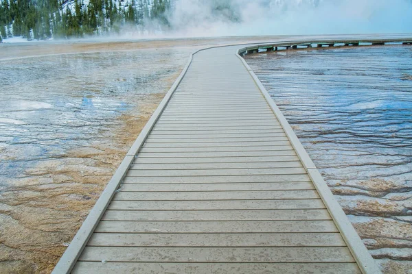 Wooden Boardwalks Geothermal Areas Yellowstone National Park Protect Both Visitors — Stock Photo, Image