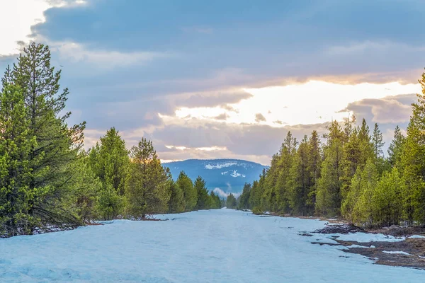 Snow Field Surrounded Trees Snow Mountain Sun Rising Background — Stock Photo, Image