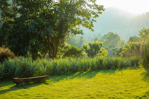 Giardino Esterno Con Panca Legno Montagna Sullo Sfondo — Foto Stock