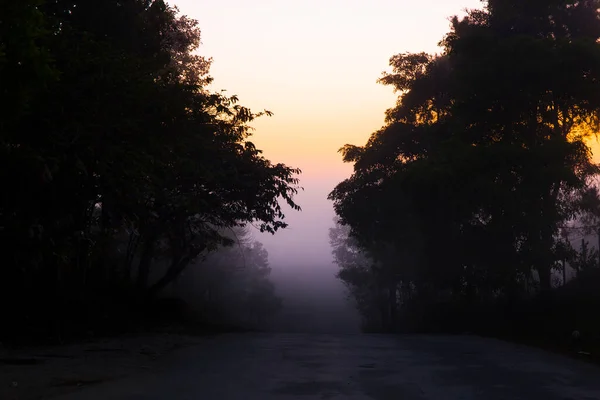 Niebla Matutina Silueta Camino — Foto de Stock