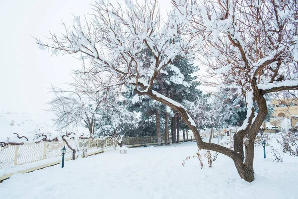 Parque Cubierto Nieve Con Árboles Sin Hojas — Foto de Stock