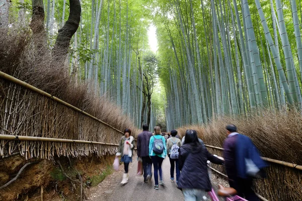 Obturador Velocidade Lenta Turistas Estão Andando Floresta Bambu Famoso Destino — Fotografia de Stock