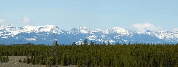 Vista Panorámica Del Bosque Fondo Montaña Nieve —  Fotos de Stock