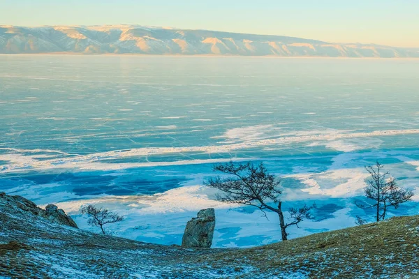 バイカル湖の凍結 手前に木や岩がある美しい冬の風景 — ストック写真