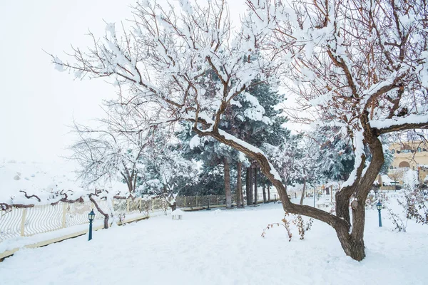 Parque Cubierto Nieve Con Árboles Sin Hojas Imagen de stock