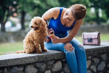 Küçük kırmızı kaniş köpek ile gülümseyen güzel genç kadın portresi.