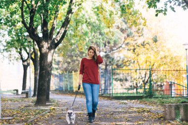 Onun çok güzel İngilizce bulldog ile parkta güzel kadının. Sonbahar