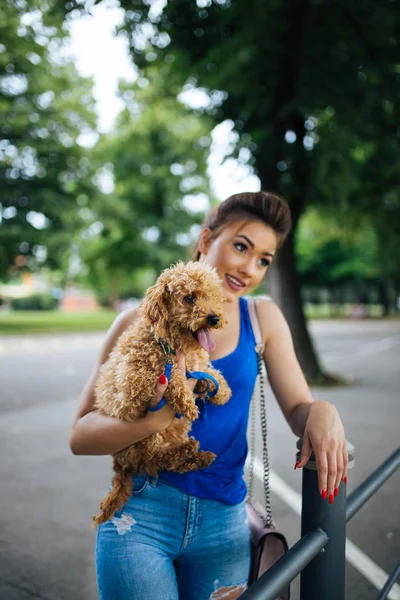 Portrait Beautiful Smiling Young Woman Her Little Red Poodle Puppy — Stock Photo, Image
