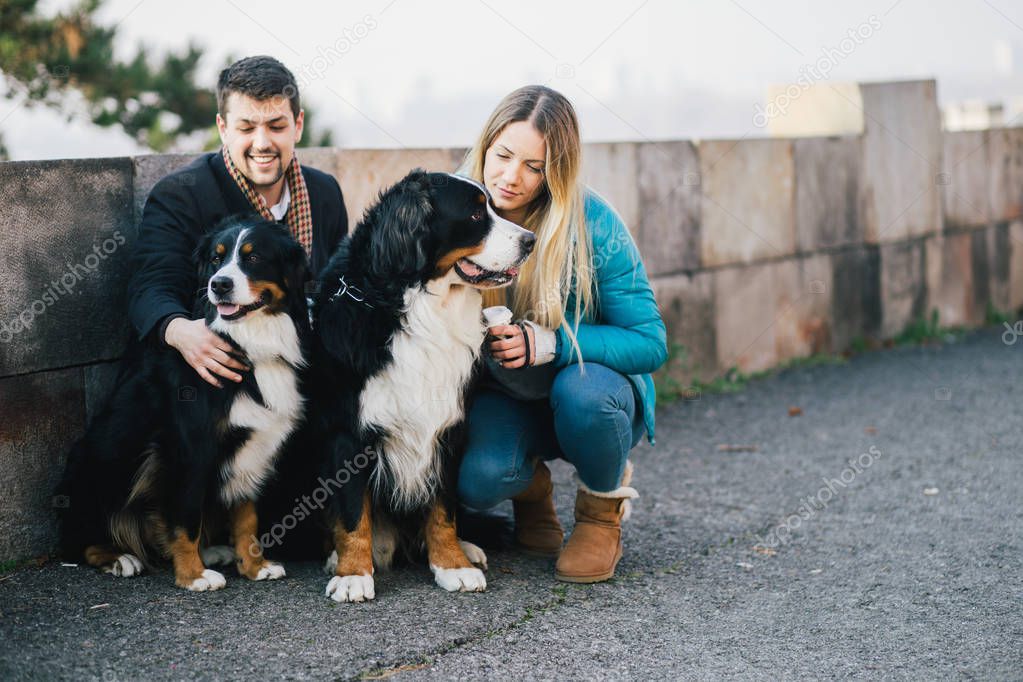 Young couple enjoying with their adorable Bernese Mountain dogs. 