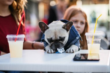 Anne ve kızı ile onların Fransız buldozer kafeteryasında zevk