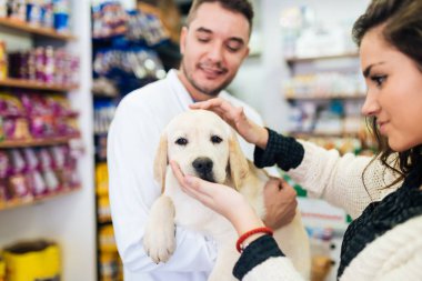 Labrador retriever köpek veteriner adlı genç kızla.