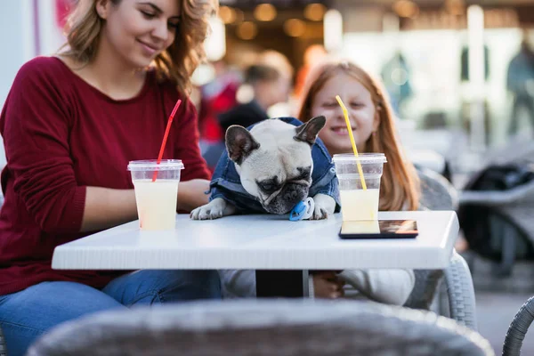 Mãe Filha Desfrutando Com Seu Bulldog Francês Cafetaria — Fotografia de Stock