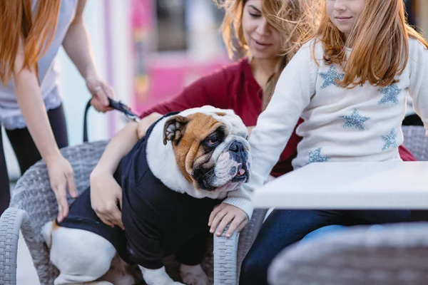 Madre Hija Disfrutando Con Bulldog Francés Cafetería —  Fotos de Stock